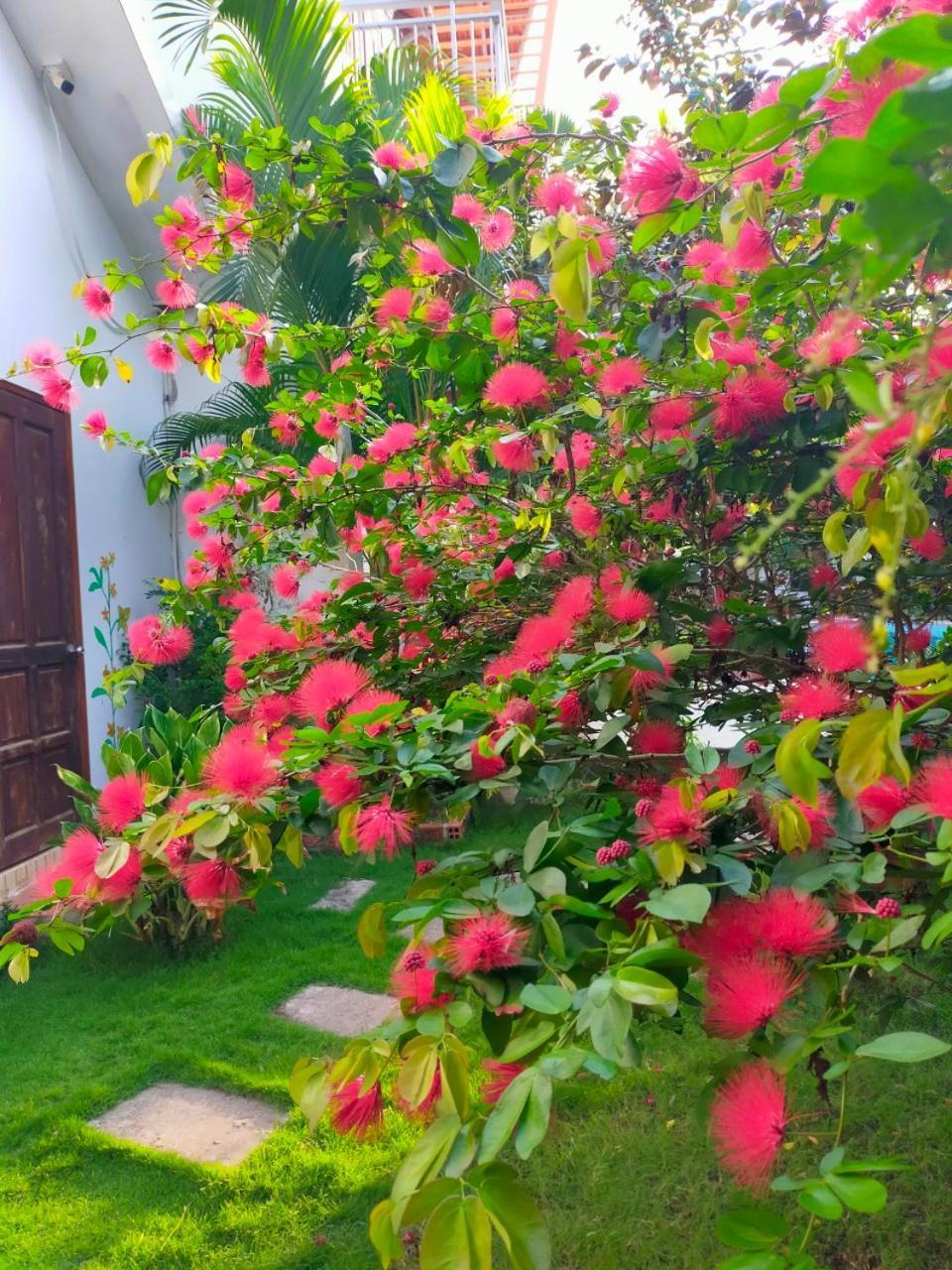 Serenity Garden Phu Quoc Exterior photo